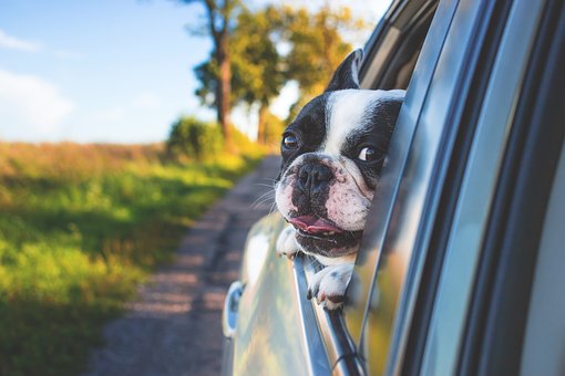 Taking The Mystery And Confusion Out Of Auto Insurance
