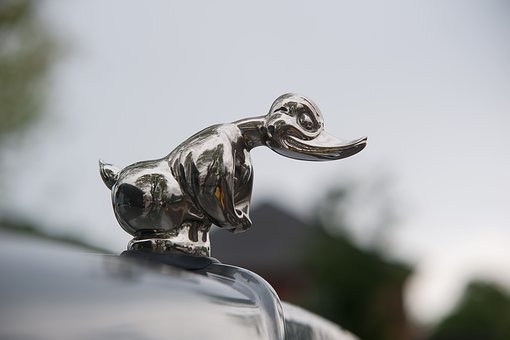 Auto Accident Insurance - What to Look Out For
