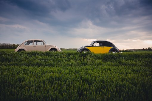 Is Professional Auto Transporting Really Worth Your Cash?
