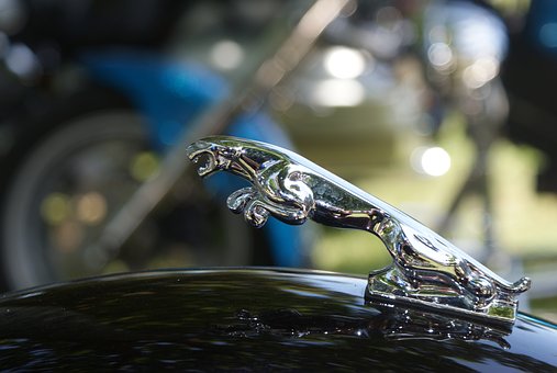 Guidelines To Find A Reliable Business Auto Insurance Chicago Firm