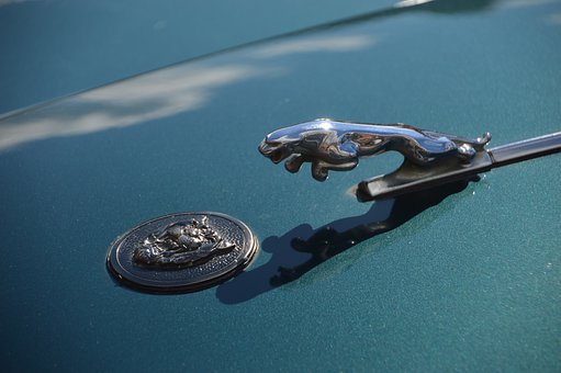 Ron Carter Automotive Center- How To Make A Green Car Purchase