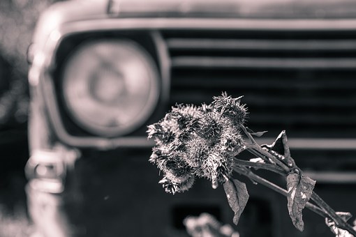 The Automobile Mentor Along With Momma, The Ideal Cars For College-bound Car Owners