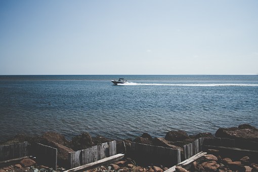 7 Steps To Buying Long Beach Auto Insurance
