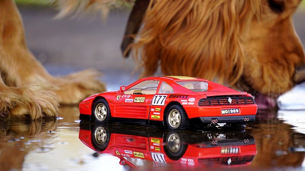 What Features Should You Look For In An Autoblogging Tool?
