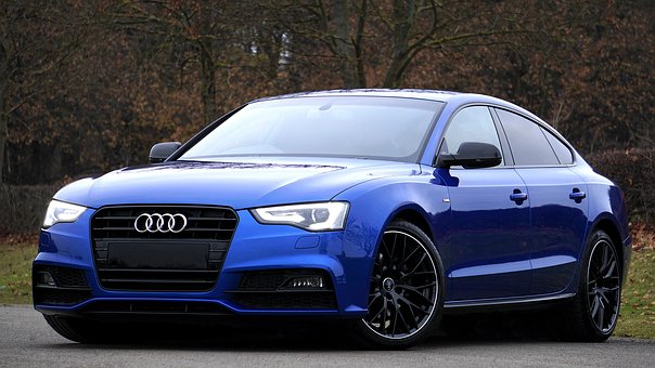 Forex Autopilot Scam? You May Be Surprised At What I Found