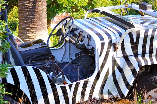 Different Types of Auto Transportation Services for Fleet Vehicles