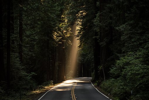 Importance Of Car And Automobiles
