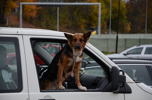 Auto Shipping Cost And Also Numerous Factors Involved
