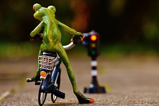 Hire an Auto Insurance Specialist and Save Money