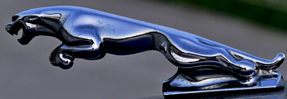 Key Steps in Automated Testing