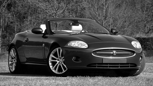 What automotive technology is offered when purchasing a Peugeot?