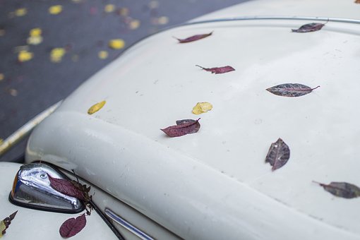 Do Automotive Rental Firms Settle for Worldwide Driving Permits (IDP)?