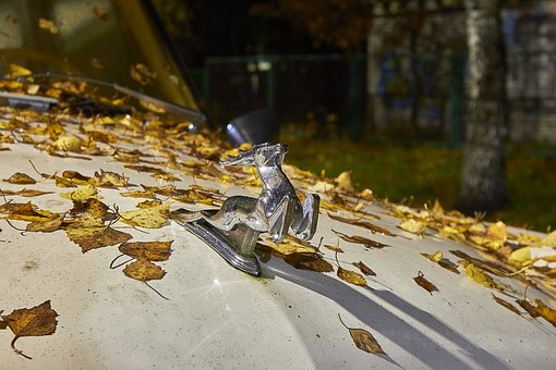 Insights Into Practical Advice Of Auto Accident Legal Help