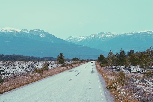 Everything You Need To Know About Auto Insurance