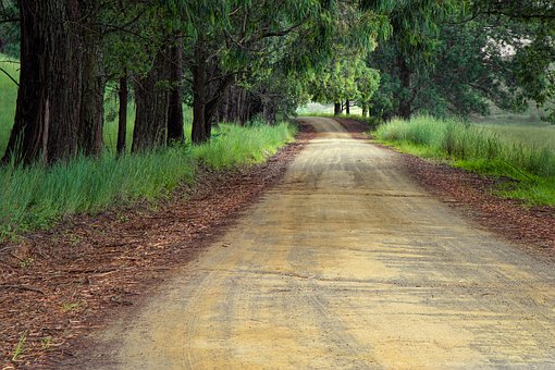 International Auto Transport: Making Relocating To A New Country Safe And Hassle Free