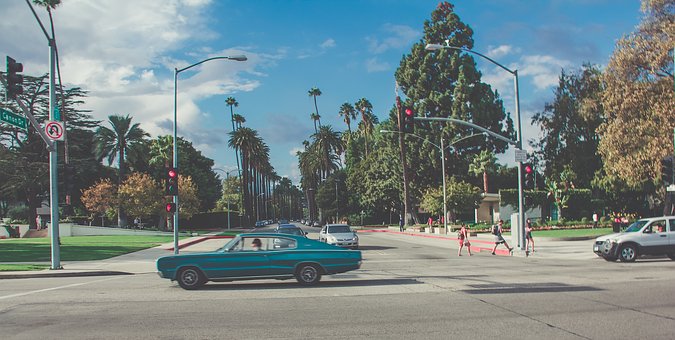 Auto Cash System Honest Review