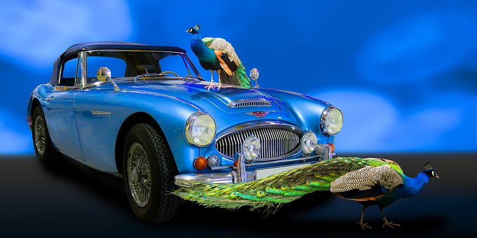 Some Interesting Moments Of Automobile Insurance