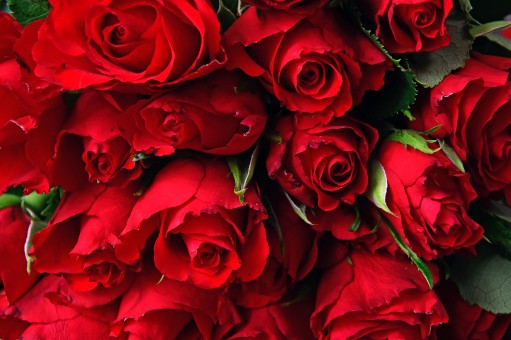 Lasting dating techniques that help you conquer