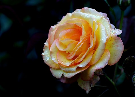 How To Get Over Depression Of An Ex Boyfriend