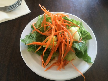 My Florida Mullet Man Adventure! Mullet, A Great 100 Calorie Food at 100 Calories For 3 Oz.! by:Susie Trimble