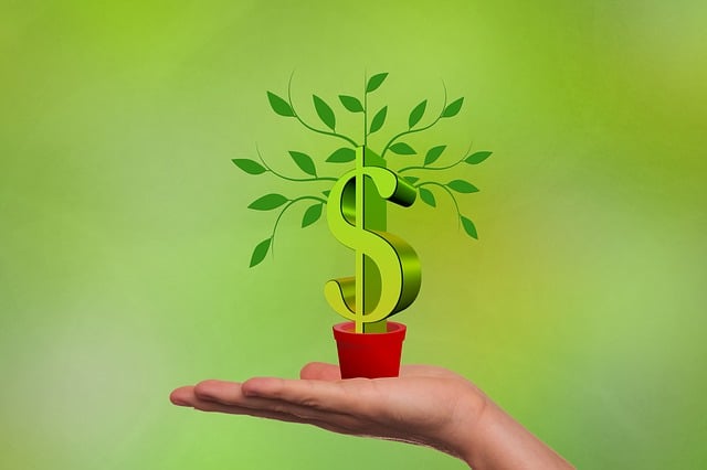 Instant Cash Loans- Quick Cash Loans With Soft Terms