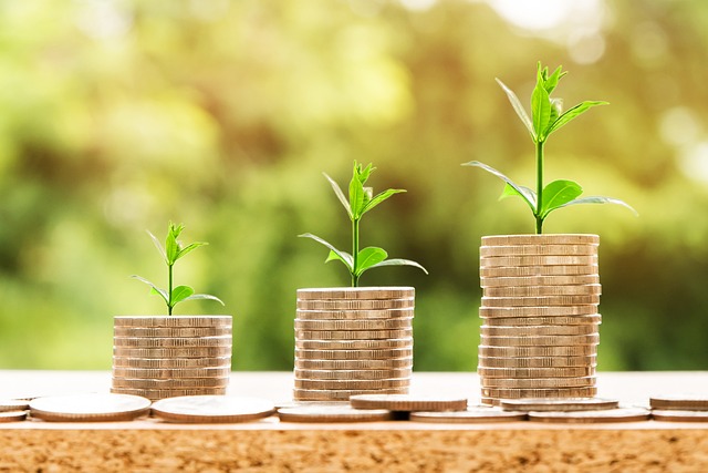 Cheap Payday Loans Usa - Offer Funds At Lower Rate