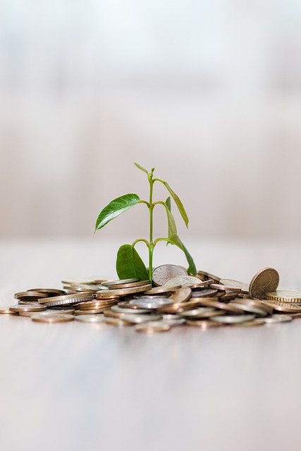 Payday Loans Indiana – Suppress the Emergency Needs till the Payday