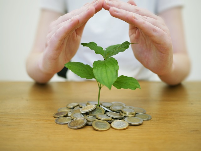 Instant Payday Loans Help Meet Unexpected Expenses