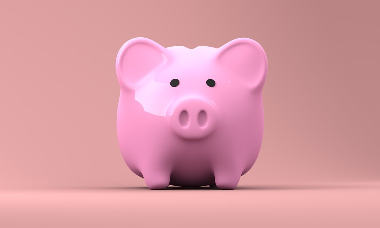 Loans That Help Meet Short Fiscal Issues Under Convenient Preferences Sets