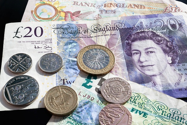 Payday Loans - Optimum Loans For Intelligent People Who Would Like Quick Options