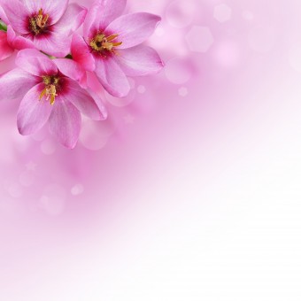 Death of a Loved One - Can You Love Again?