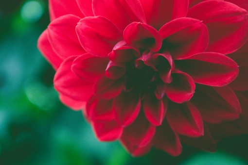 Valentine's Day gifts for her – be original