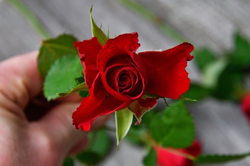How to Win Love Back-Get Your Ex To Love You Again