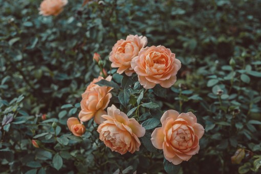 Suggestions On Getting Over A Break Up
