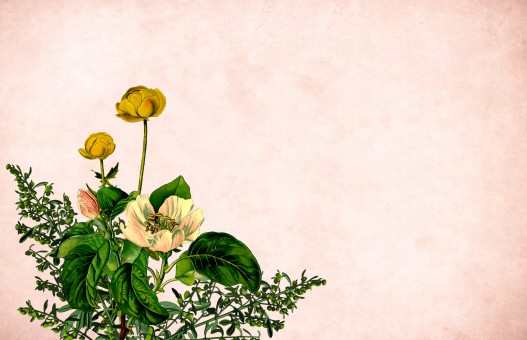 How to Send Flowers to Your Loved Ones in Pakistan