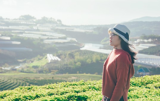 Plan Your Honeymoon by Booking Honeymoon Packages