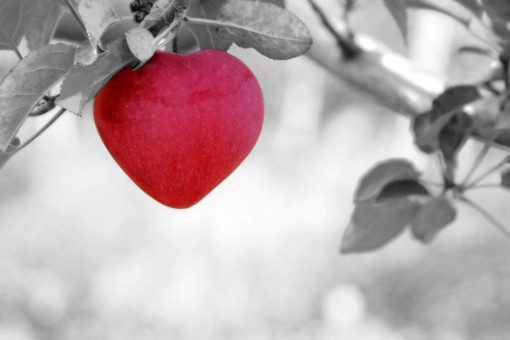 How To Make Him Love You - 3 Most Effective Tips
