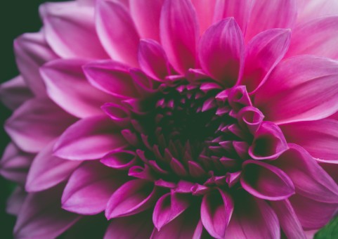 How To Get Over Being Dumped - Gaining The Happy Heart Back