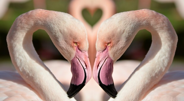Wat Do U Do When U R Infatuated And Need To Get Over Someone