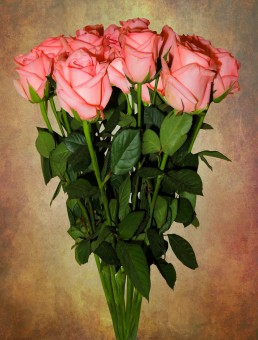 Valentines Day Revelry In India