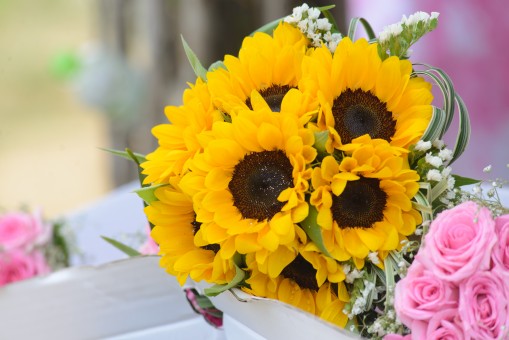 Tips To Relish A Perfect Honeymoon Trip