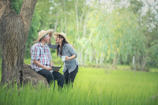 Top Romantic Honeymoon Destination In Kerala To Explore