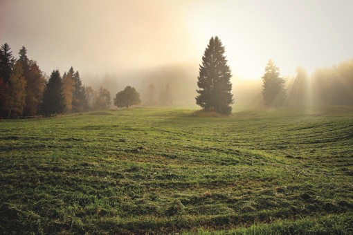 Explore the Breathtaking Wonderments with Kerala Honeymoon Package