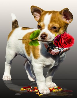 Getting Him Back After A Breakup - How To Make Him Sorry For Breaking Your Heart
