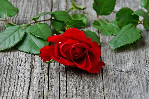 3 Positive Steps When Getting Back Together After A Breakup