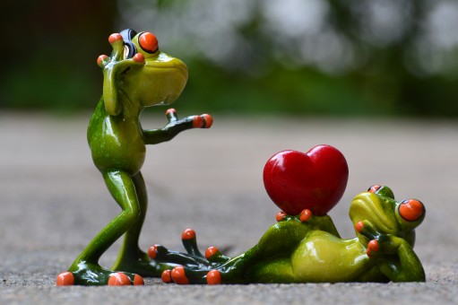 Interesting Gift Options For Your Loved Ones