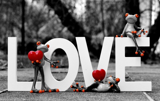 I Love My Boyfriend But I Miss My Ex How To Move On