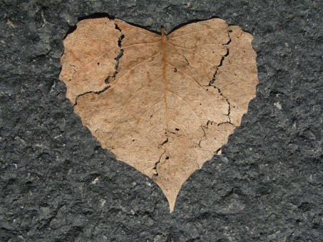 Love Songs And Miss My Ex - I Don