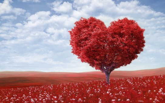 How To Get Over Your Cheating Her And Move On