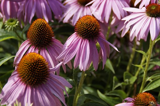 Why The Delayed Detection Of Breast Cancer Might Turn Into A Medical Malpractice Lawsuit